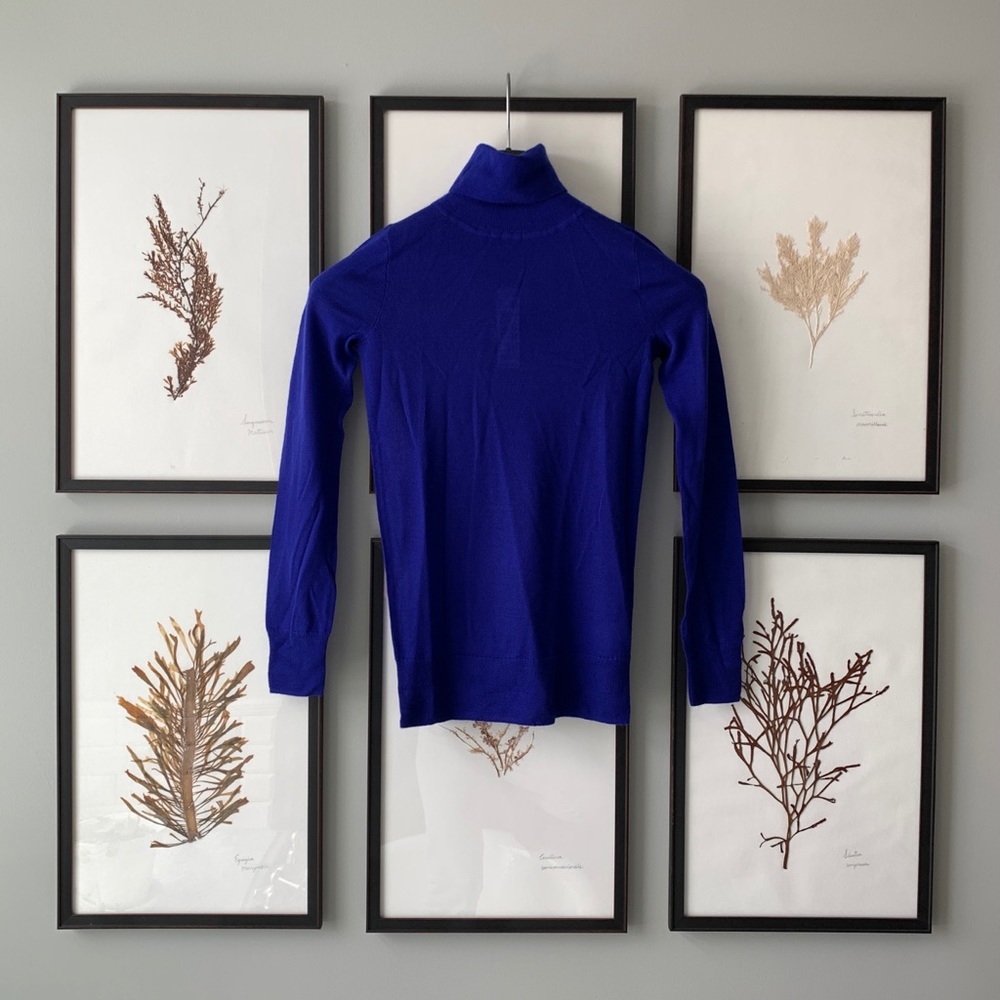 JCrew Italian Featherweight Cashmere Turtleneck XXXS